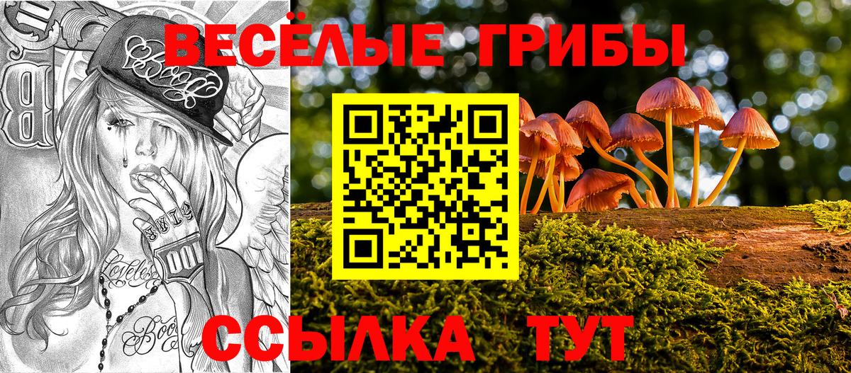 наркота  Вход с VPN  Лосино-Петровский  Псилоцибиновые грибы мицелий 